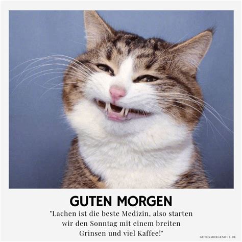 guten morgen sonntag lustig